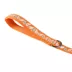 Thrills & Chills™ Halloween Ghost Dog Leash image thumbnail 5