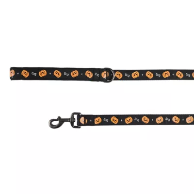Thrills & Chills™ Halloween Pumpkin Dog Leash - Image 1