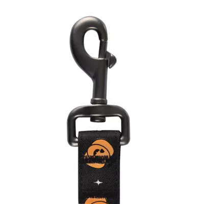 Thrills & Chills™ Halloween Pumpkin Dog Leash - Image 3