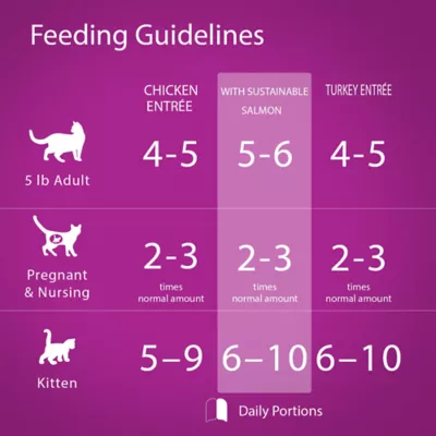 Whiskas Perfect Portions Adult Wet Cat Food - Turkey and Salmon Flavour - Image 5