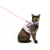 Thrills & Chills™ Halloween Cowgirl Kitten & Cat Leash & Harness Combo image thumbnail 2