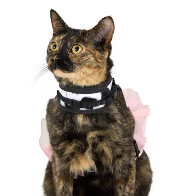 Thrills & Chills™ Halloween Cowgirl Kitten & Cat Leash & Harness Combo - Image 3
