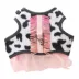 Thrills & Chills™ Halloween Cowgirl Kitten & Cat Leash & Harness Combo image thumbnail 5