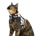 Thrills & Chills™ Halloween Cowboy Kitten & Cat Leash & Harness Combo image thumbnail 2