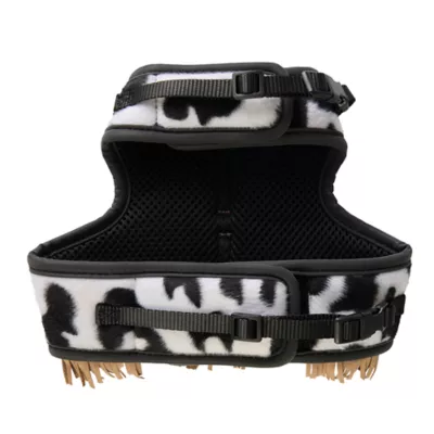 Thrills & Chills™ Halloween Cowboy Kitten & Cat Leash & Harness Combo - Image 6