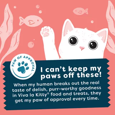 Viva La Kitty Meaty Sticks Cat treats  - Salmon Recipe, 5 Count, 0.88 oz - Image 5