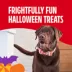 Milk-Bone Spooky Biscuits, Halloween Dog Treats Pail - Original Flavor 24 oz image thumbnail 5