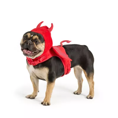 Thrills & Chills™ Halloween Devil Dog Costume Harness - Image 1