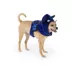 Thrills & Chills™ Halloween Bat Dog Costume Harness image thumbnail 1