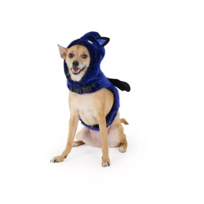 Thrills & Chills™ Halloween Bat Dog Costume Harness - Image 2