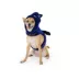 Thrills & Chills™ Halloween Bat Dog Costume Harness image thumbnail 2