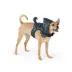 Thrills & Chills™ Halloween Scorpion Dog Costume Harness image thumbnail 1