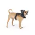 Thrills & Chills™ Halloween Spider Dog Costume Harness image thumbnail 1
