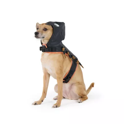 Thrills & Chills™ Halloween Spider Dog Costume Harness - Image 2