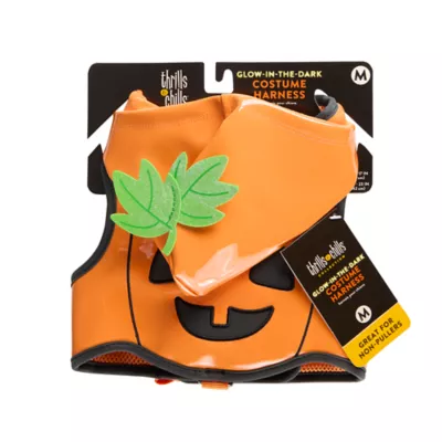 Thrills & Chills™ Halloween Pumpkin Dog Costume Harness - Image 6