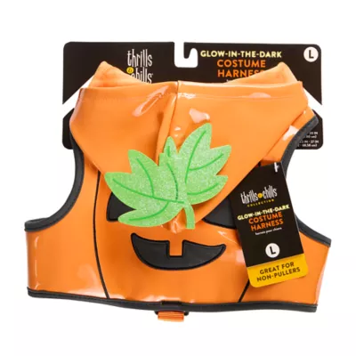 Thrills & Chills™ Halloween Pumpkin Dog Costume Harness - Image 6