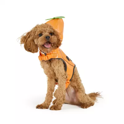 Thrills & Chills™ Halloween Pumpkin Dog Costume Harness - Image 1