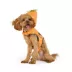 Thrills & Chills™ Halloween Pumpkin Dog Costume Harness image thumbnail 1