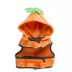Thrills & Chills™ Halloween Pumpkin Dog Costume Harness image thumbnail 5