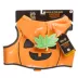 Thrills & Chills™ Halloween Pumpkin Dog Costume Harness image thumbnail 6