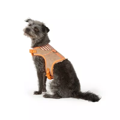 Thrills & Chills™ Halloween Cowboy Dog Costume Harness - Image 1