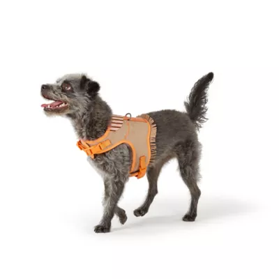 Thrills & Chills™ Halloween Cowboy Dog Costume Harness - Image 2