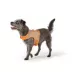 Thrills & Chills™ Halloween Cowboy Dog Costume Harness image thumbnail 2