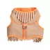 Thrills & Chills™ Halloween Cowboy Dog Costume Harness image thumbnail 3