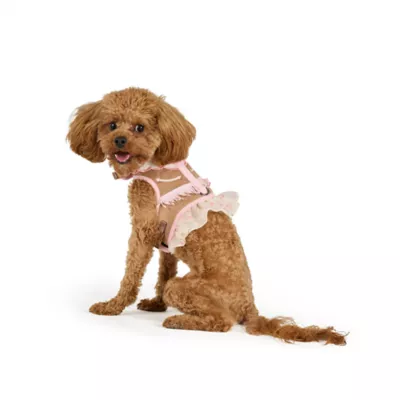 Thrills & Chills™ Halloween Cowgirl Dog Costume Harness - Image 1