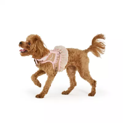 Thrills & Chills™ Halloween Cowgirl Dog Costume Harness - Image 2