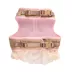 Thrills & Chills™ Halloween Cowgirl Dog Costume Harness image thumbnail 5