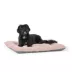 Top Paw Pink Cozy Pillow Bed image thumbnail 1
