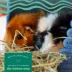 Oxbow Western Timothy Hay - Rabbit & Guinea Pig Food - High Fiber for Digestive Health - 15oz-40lb image thumbnail 3