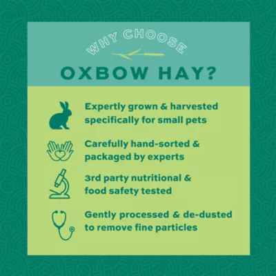 Oxbow Western Timothy Hay - Rabbit & Guinea Pig Food - High Fiber for Digestive Health - 15oz-40lb - Image 4