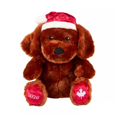 PetSmart Charities® Chance & Friends Dog Toy-Chance Canada - Image 1