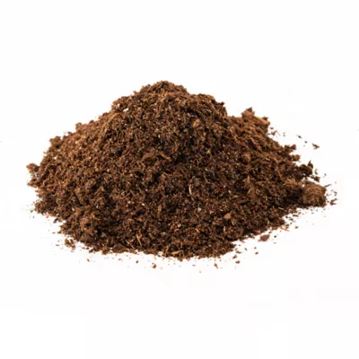 Zoo Med® ReptiSoil™ Reptile Substrate - Terrarium Soil Substrate - Soil Blend - 4-24 qt - Image 3