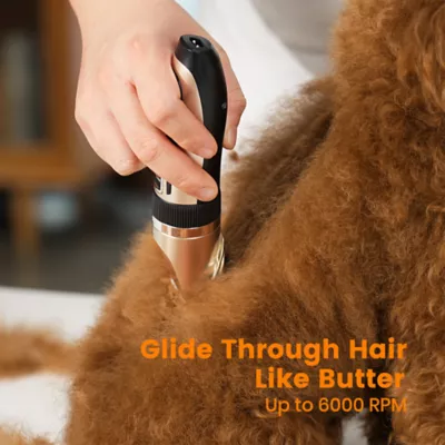 Oneisall X2N5 Dog Clippers and Paw Trimmer Kit - Image 5