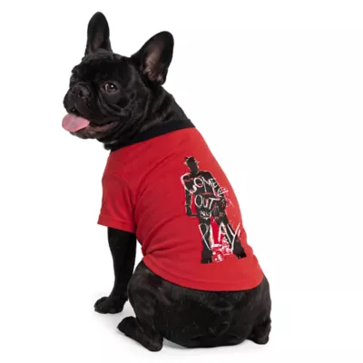 A Nightmare on Elm Street Costume Tee for Dogs - Image 1
