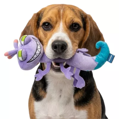 GMASON Randall Plush Dog Toy - Image 5