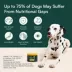 Wuffes Dog 23-in-1 Multivitamin, Everyday Health Soft Chews, Pork Liver Flavor, 50 Count image thumbnail 4