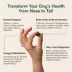 Wuffes Dog 23-in-1 Multivitamin, Everyday Health Soft Chews, Pork Liver Flavor, 50 Count image thumbnail 5