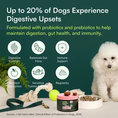 Wuffes Dog Daily Probiotic Supplement Chews, Digestive & Immune Support, Pork Liver Flavor, 50 Count - Image 4
