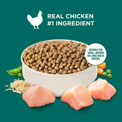 Rachael Ray Nutrish Puppy Dry Dog Food - Chicken & Brown Rice - Image 3