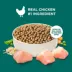 Rachael Ray Nutrish Puppy Dry Dog Food - Chicken & Brown Rice image thumbnail 3