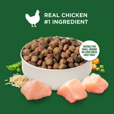 Rachael Ray Nutrish Whole Health Blend Adult Dry Dog Food - Chicken & Veggies - Image 3
