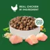 Rachael Ray Nutrish Whole Health Blend Adult Dry Dog Food - Chicken & Veggies image thumbnail 3