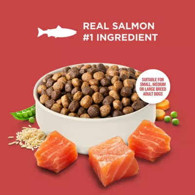 Rachael Ray Nutrish Adult Dog Dry Food - Salmon, Veggies & Brown Rice - Image 3