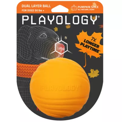 Playology Dual Layer Pumpkin Spice Ball Dog Toy, Large - Image 1
