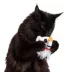 GMASON Nightmare Before Christmas Zero Plush with Feather Cat Toy image thumbnail 5