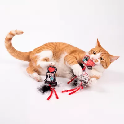 GMASON Chucky Plush with Feater Cat Toys 3-Pack - Image 5
